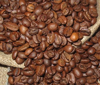 Mluvíme o nejznámjší a nejrozšíenjší odrd kávy. 
Dnes zaujímá tém 3/4 svtové produkce kávovník. Její svtle zelená zrnka se vyznaují tím, e jsou obvykle výrazn vtší ne zrna robusty, ale také výrazn niším obsahem kofeinu a také tíslovin. Díky tomu bývá základem spíše kyselejších káv se zajímavjším chuovým profilem. Je povaována za odrdu kvalitnjší, ale oproti robust je i výrazn draší.